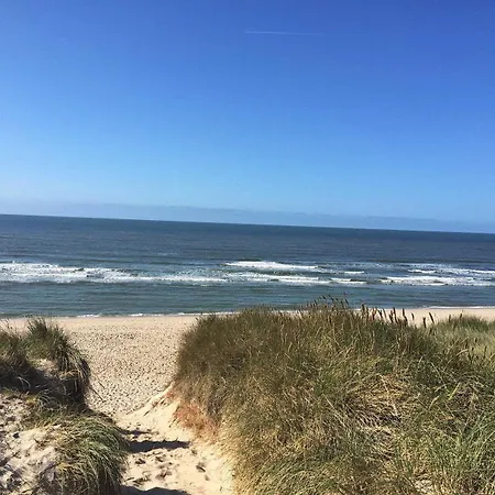Strandhafer