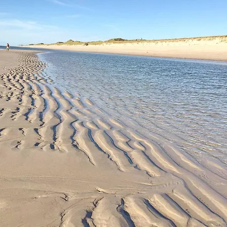Strandhafer